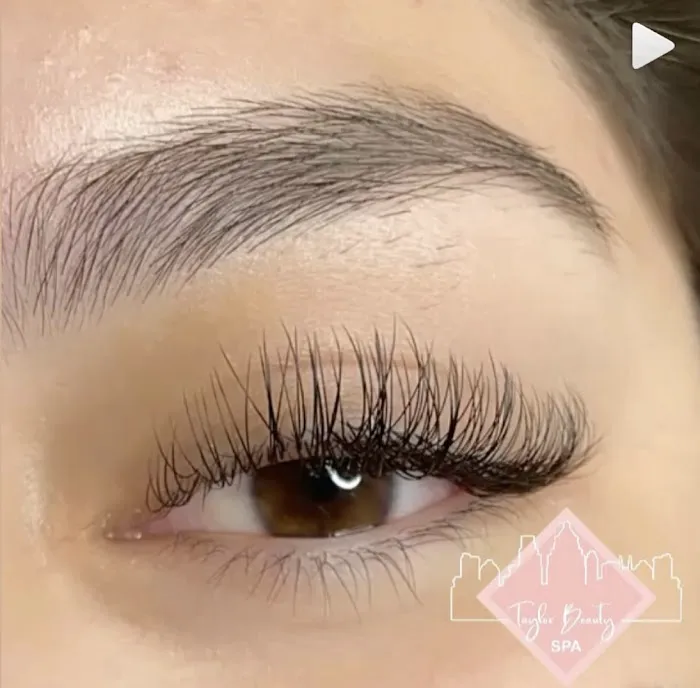 Taylor Aesthetics Picture 7