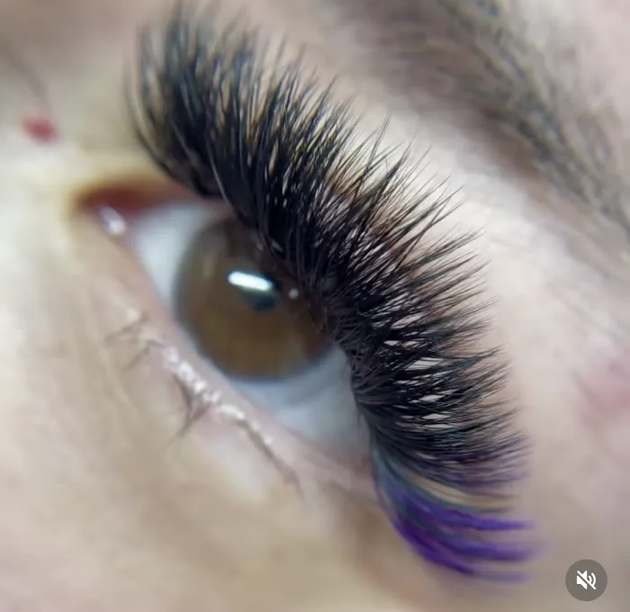 Taylor Aesthetics Picture 9