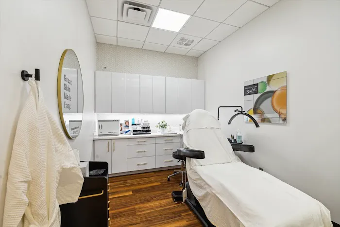 SkinCeuticals SkinLab by Dr. Roth – The Woodlands Picture 4