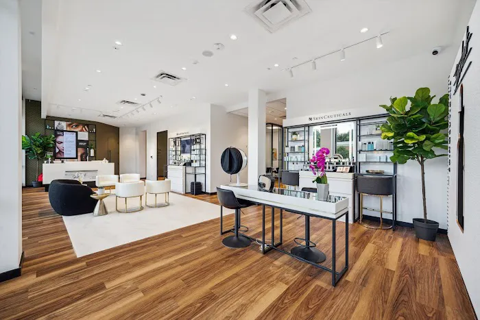 SkinCeuticals SkinLab by Dr. Roth – The Woodlands Picture 9