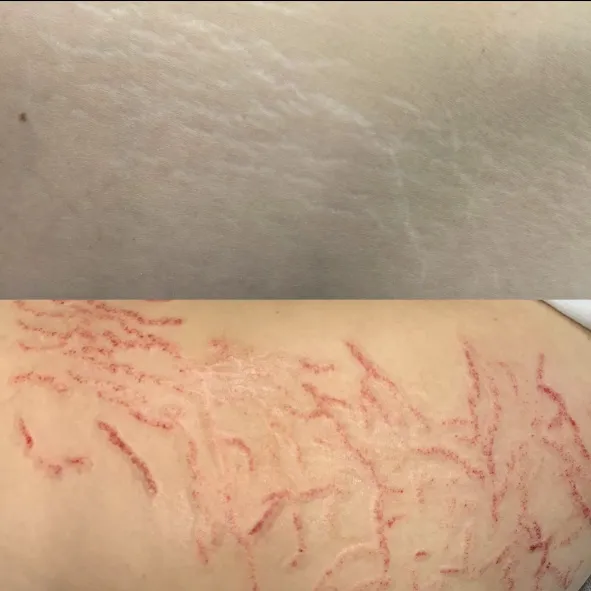 Institute 28 Picture 4