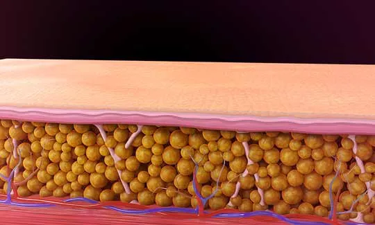 North Houston Aesthetics & Wellness Center Picture 1