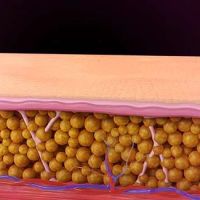 North Houston Aesthetics & Wellness Center ico