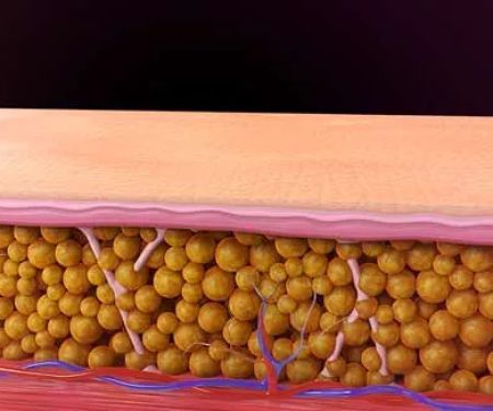 North Houston Aesthetics & Wellness Center