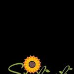 stylush sunflower's skin care
