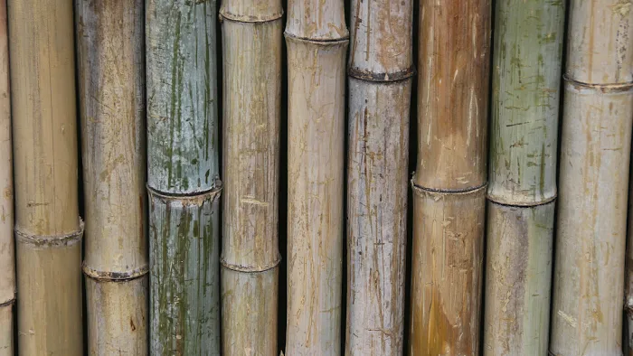 Bamboo Massage & Skincare Picture 9