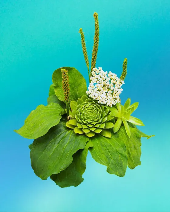 Hyssop & Honey Skin + Wellness Studio Picture 5