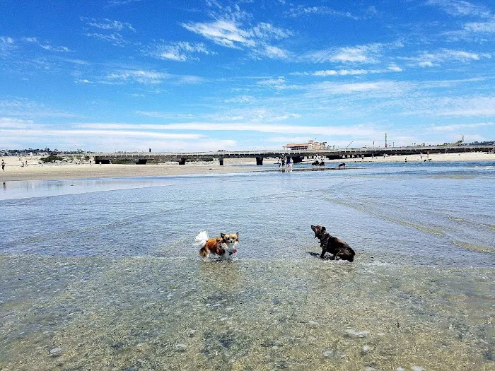 skinbio365 - South Park (SKINBIO three-six-five) Picture 6