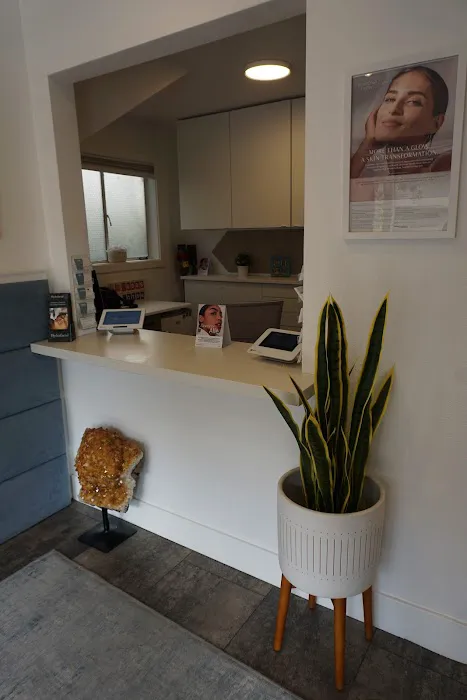 Palmer Skin Picture 8