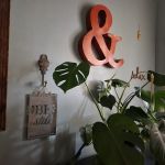 The Skin Care Studio