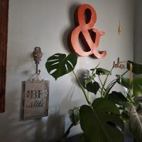 The Skin Care Studio ico