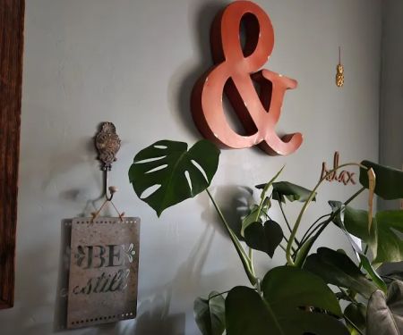 The Skin Care Studio