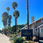 Conjure Skin Therapies