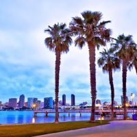 Dermatology & Laser Center of San Diego ico