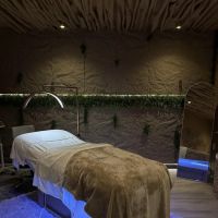 Intuitive Touch Studio ico