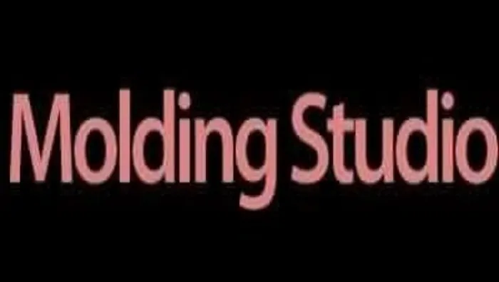 San Diego Molding Studio Skin Care Picture 2