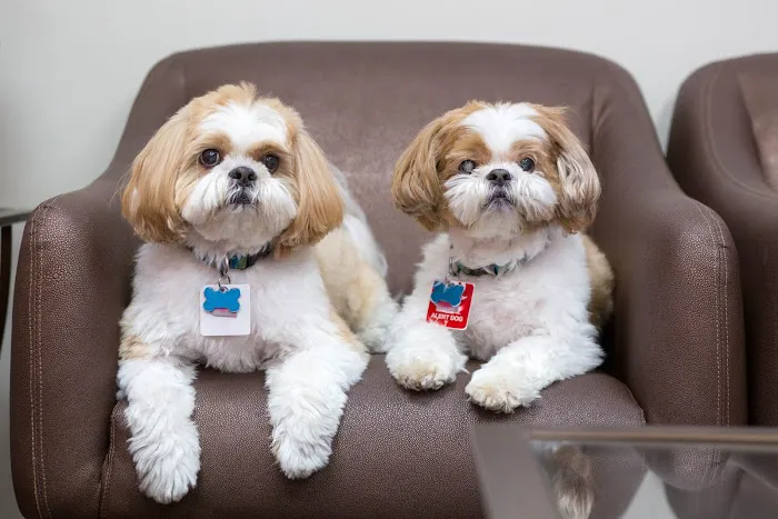 Beatitude Aesthetic Medicine Picture 9