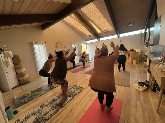 Suga Skincare, Esthetics & Wellness Picture 7