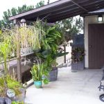 SkinLush | Skin Care by Elisha