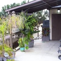 SkinLush | Skin Care by Elisha ico