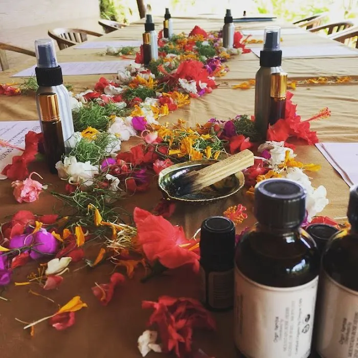 Skin Tonix Mobile Spa Picture 3