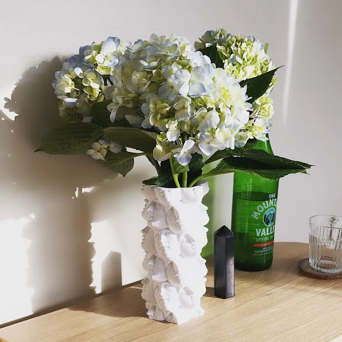 Of Venus Skin Studio Picture 4