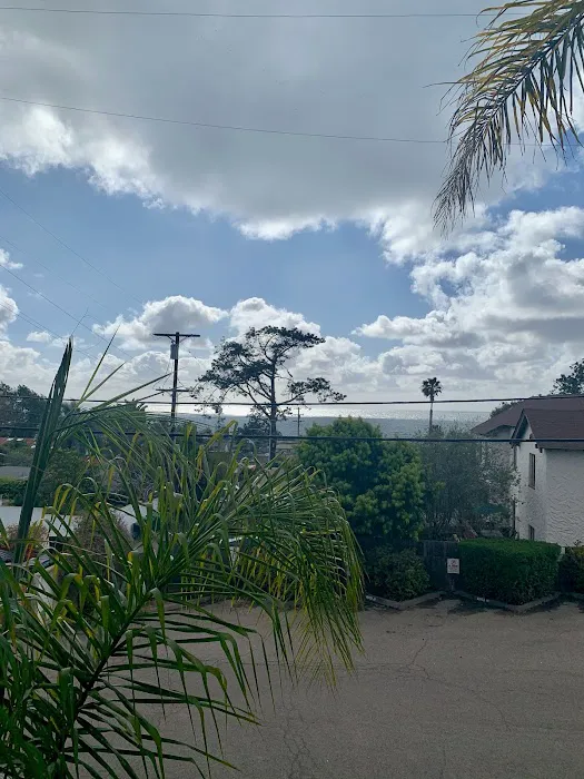 Yulia Skin Care Picture 8