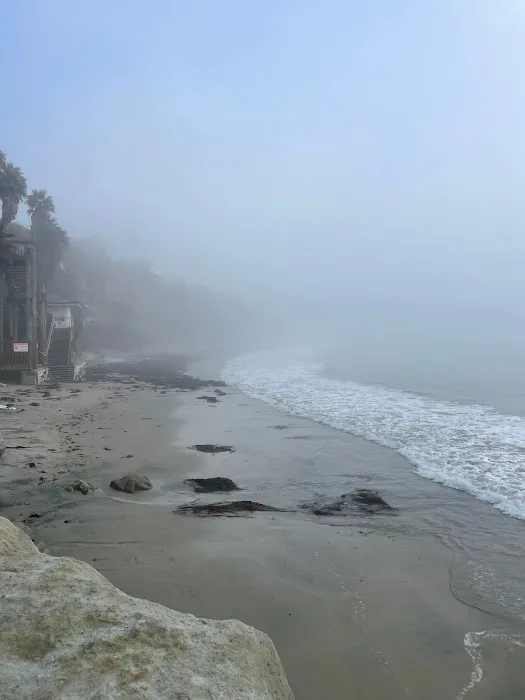 Raw and Nourished Picture 4