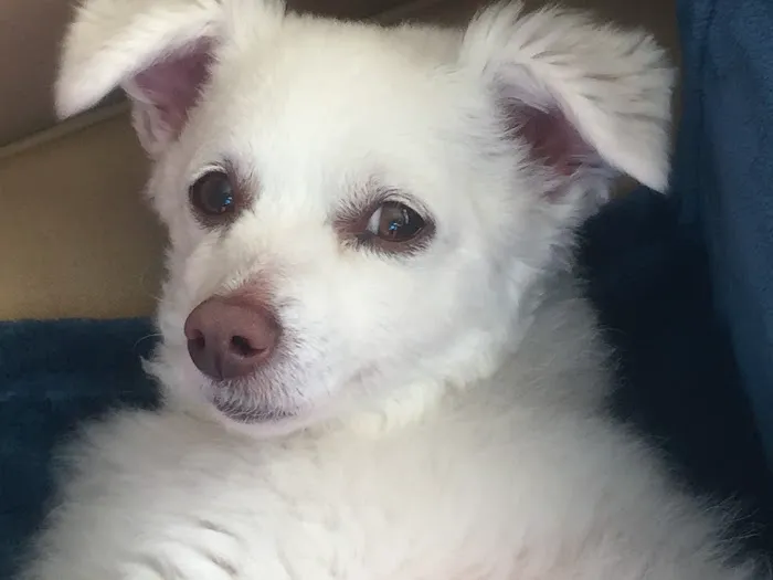 Skin Therapy By Gena Picture 4