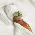 SkinCare and the City