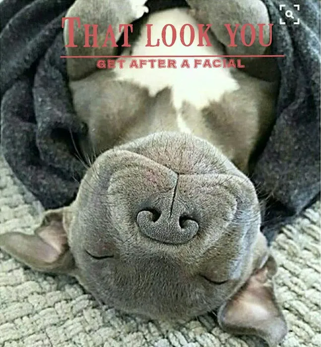 SkinCare and the City Picture 10