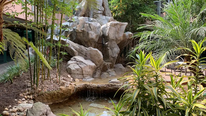 SKIN SHELTER Jennifer Whittaker Skincare Picture 10