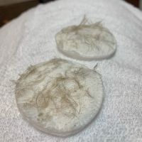 Rēskin by Asia Scott ico