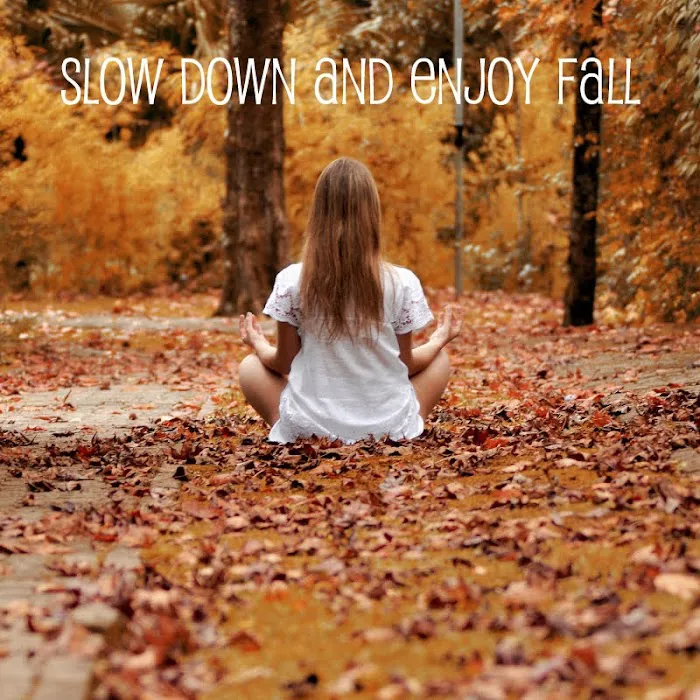 K Skin Spa Picture 5