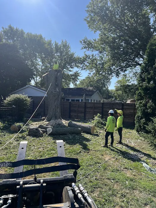 Beautifulyme Picture 2