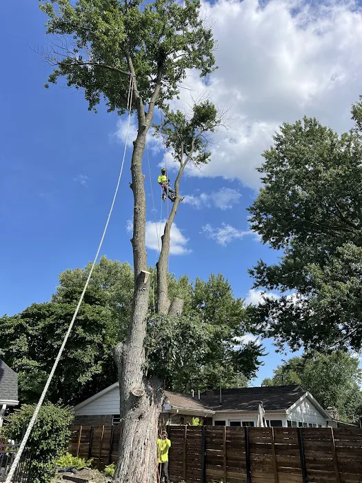 Beautifulyme Picture 1