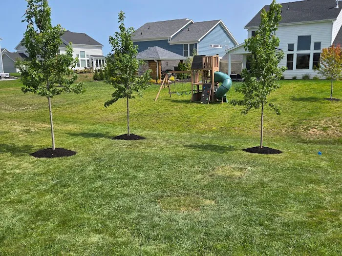 Beautifulyme Picture 3