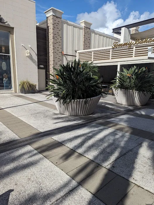 Vine Garden saint john town center Picture 2