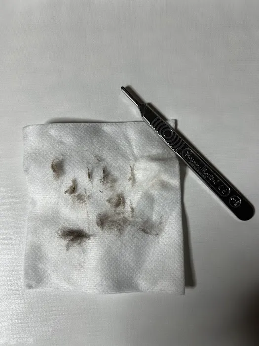 Natural Glowing Skin Picture 6