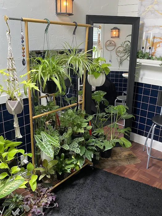 afterSEVEN Picture 2