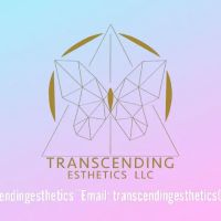 Transcending Esthetics ico