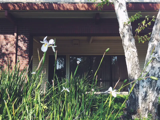 Clear Day Acne Clinic Picture 1