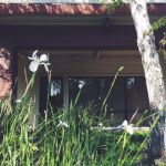 Clear Day Acne Clinic