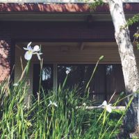 Clear Day Acne Clinic ico