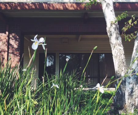 Clear Day Acne Clinic