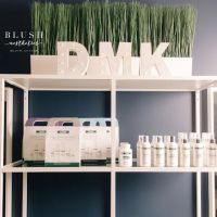 Blush Aesthetics Beauty Lounge ico