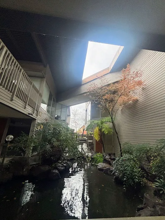 Derma Pardo (Facials, Esthetics) Picture 9