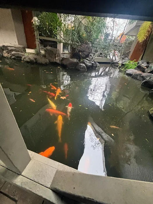 Derma Pardo (Facials, Esthetics) Picture 6