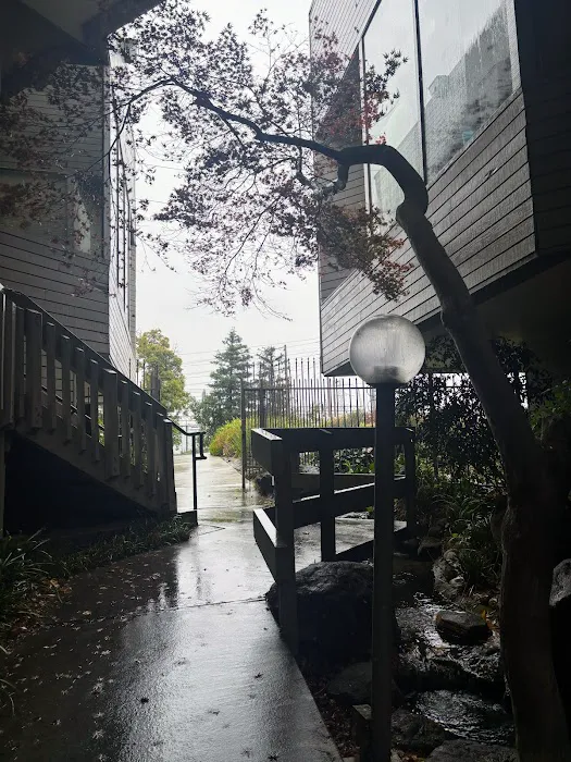 Derma Pardo (Facials, Esthetics) Picture 4