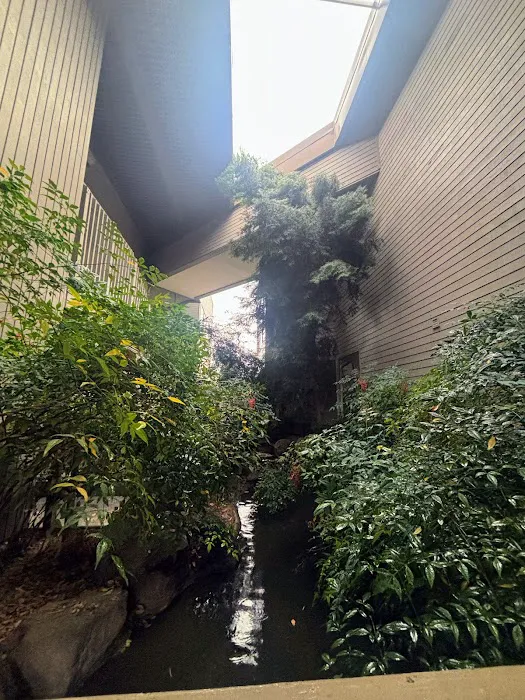 Derma Pardo (Facials, Esthetics) Picture 5